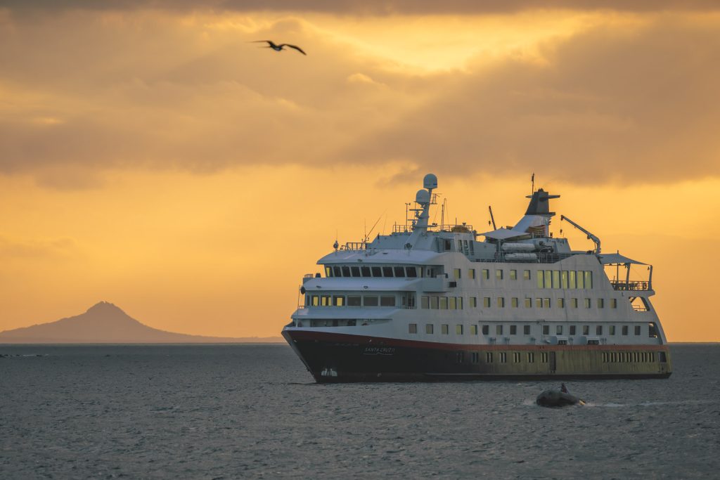 Expedition Cruises - Complete Guide to Cruising Remote Destinations